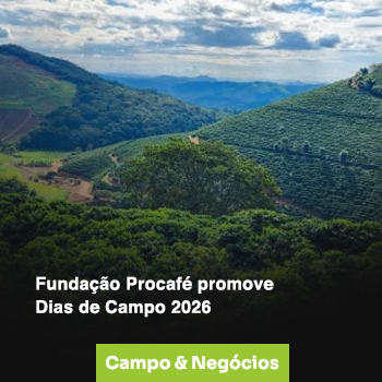 05-campo e negocios